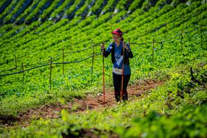 BIB: 3545
                            <button type="button" onclick="openModal(19162092)" class="btn btn-primary btn-sm float-right btn-popup" data-toggle="modal" data-target=".modal-high-quality">
                        <i class="fas fa-shopping-cart"></i> Add to Cart
                    </button>
                                            <button type="button" onclick="isThisMe(19162092, true)" class="btn btn-success btn-sm float-right btn-popup btn-isme hidden" data-toggle="tooltip" data-placement="bottom" title="นี่คือรูปของคุณใช่ไหม คลิกที่นี่เพื่อเอาเข้าอัลบั้ม">
                        <i class="fas fa-plus"></i> Add to album
                    </button>
                    <button type="button" onclick="isThisMe(19162092, false)" class="btn btn-warning btn-sm float-right btn-popup btn-isnotme hidden">
                        <i class="fas fa-ban"></i> Remove from album
                    </button>